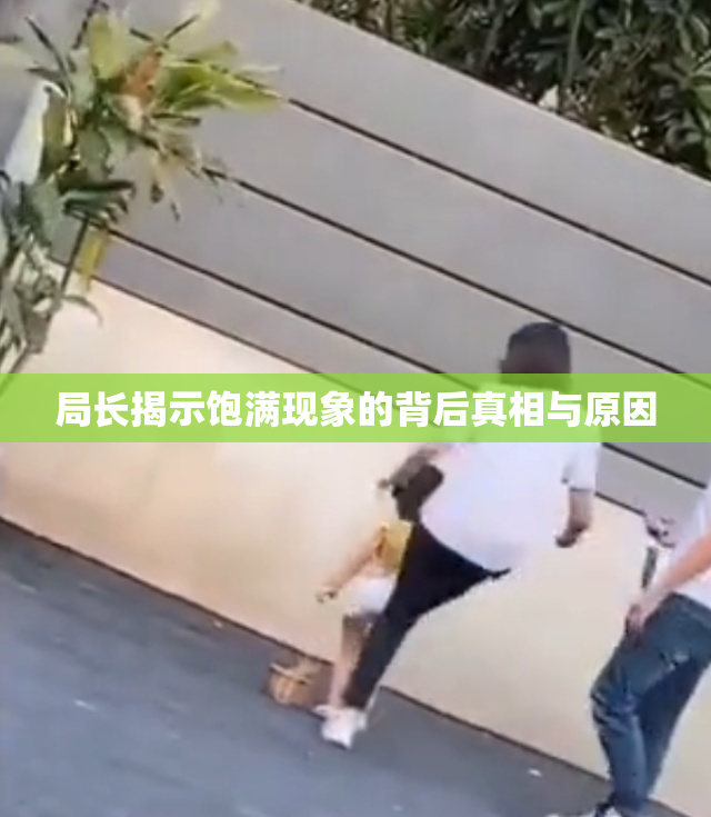 局长揭示饱满现象的背后真相与原因