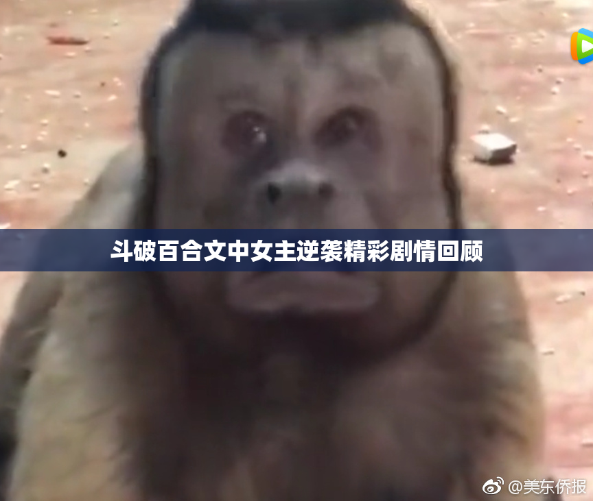 斗破百合文中女主逆袭精彩剧情回顾