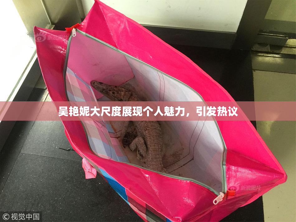 吴艳妮大尺度展现个人魅力，引发热议