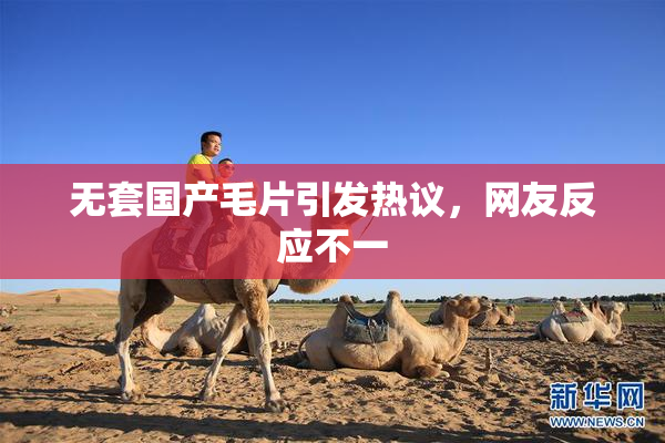无套国产毛片引发热议，网友反应不一