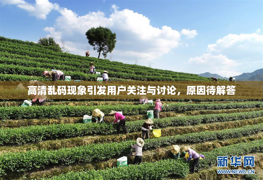 高清乱码现象引发用户关注与讨论，原因待解答