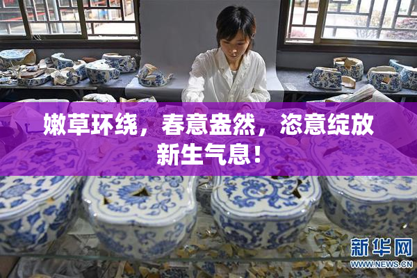 嫩草环绕，春意盎然，恣意绽放新生气息！