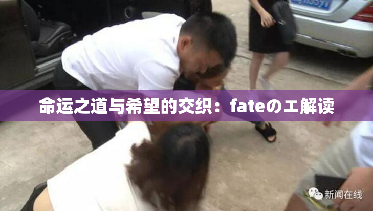 命运之道与希望的交织：fateのエ解读