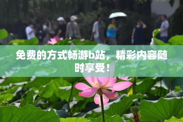 免费的方式畅游b站，精彩内容随时享受！