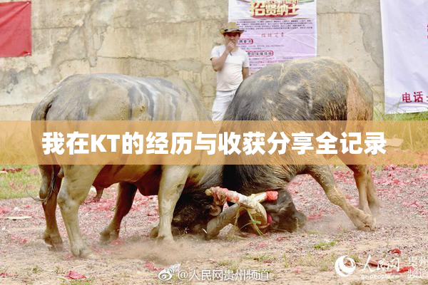 我在KT的经历与收获分享全记录