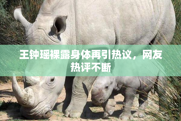 王钟瑶裸露身体再引热议，网友热评不断