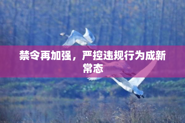 禁令再加强，严控违规行为成新常态
