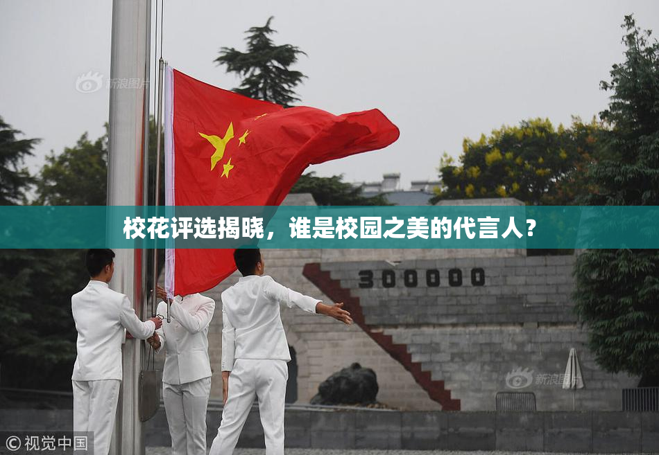 校花评选揭晓，谁是校园之美的代言人？