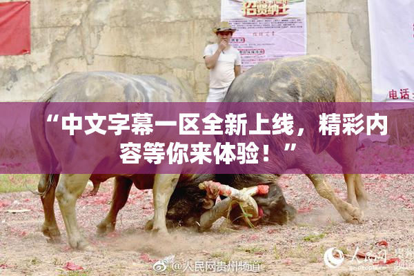 “中文字幕一区全新上线，精彩内容等你来体验！”