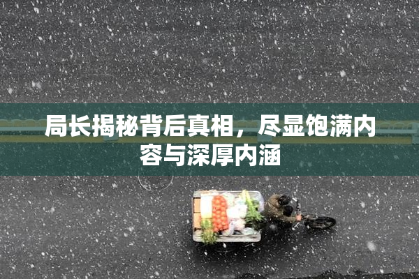局长揭秘背后真相，尽显饱满内容与深厚内涵