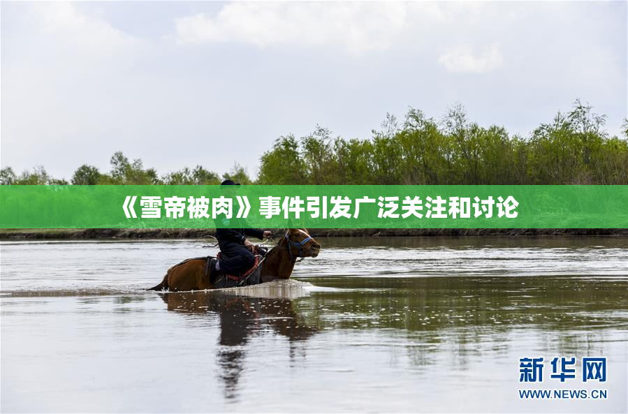 《雪帝被肉》事件引发广泛关注和讨论