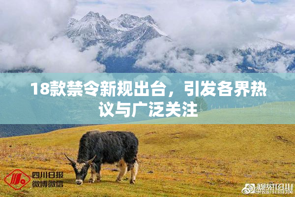 18款禁令新规出台，引发各界热议与广泛关注