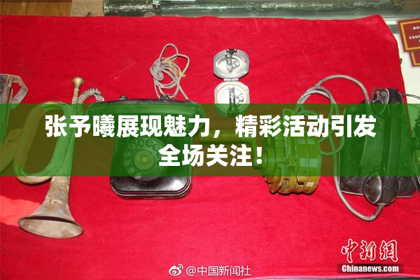 张予曦展现魅力，精彩活动引发全场关注！