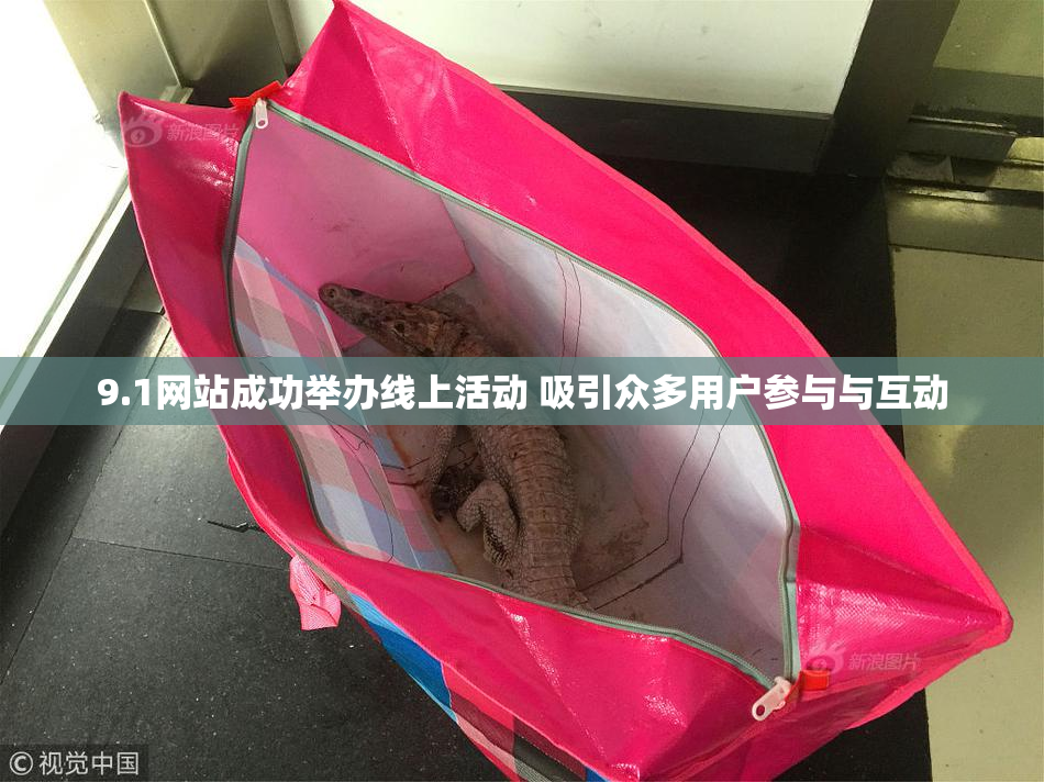 9.1网站成功举办线上活动 吸引众多用户参与与互动