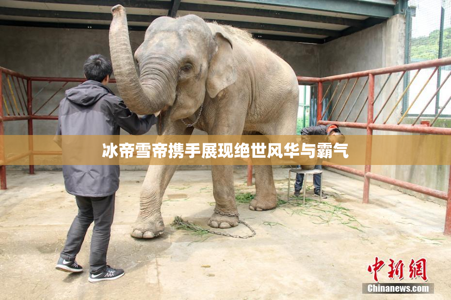 冰帝雪帝携手展现绝世风华与霸气
