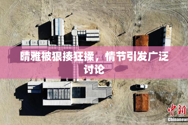 晴雅被狠揍狂揉，情节引发广泛讨论