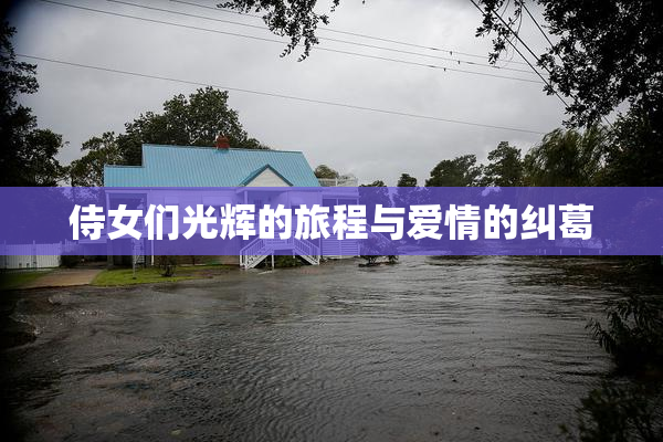 侍女们光辉的旅程与爱情的纠葛