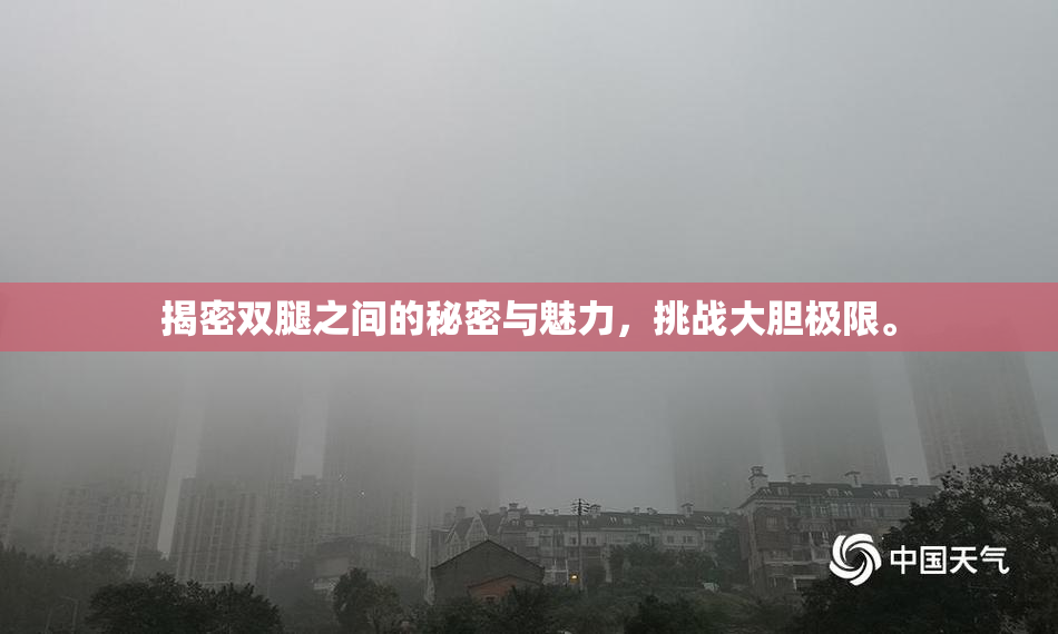 揭密双腿之间的秘密与魅力，挑战大胆极限。