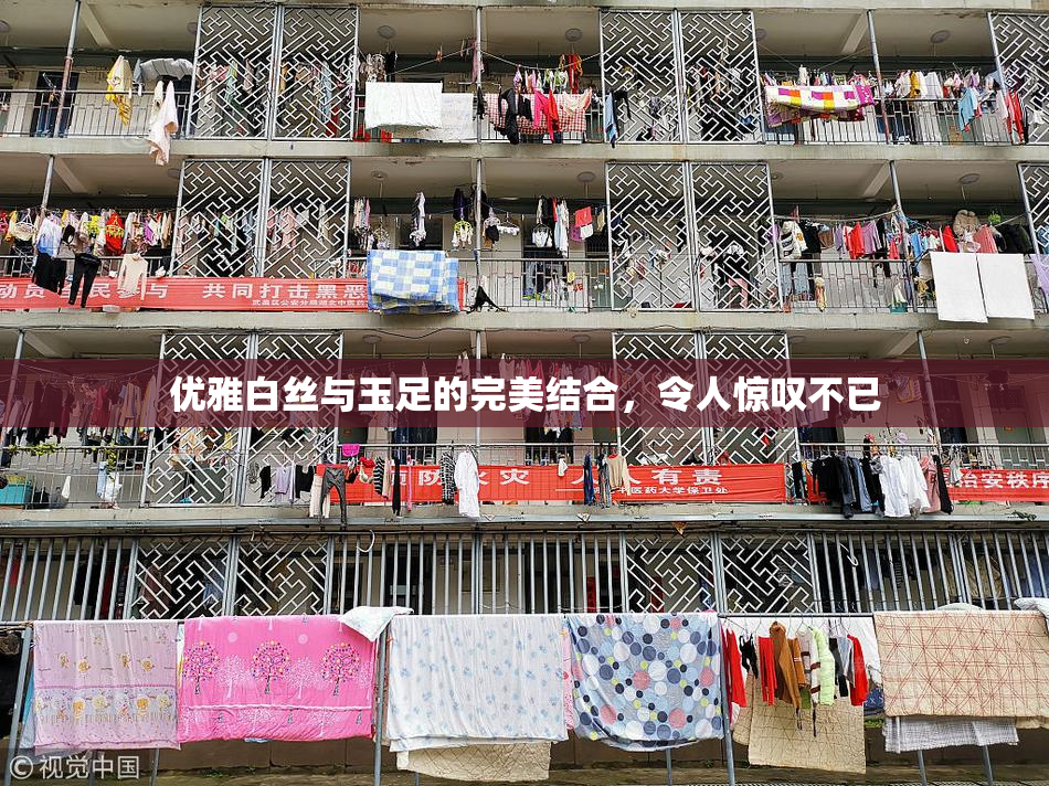 优雅白丝与玉足的完美结合，令人惊叹不已