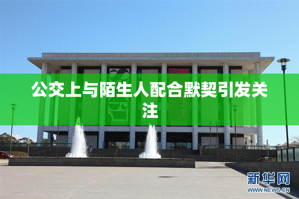 公交上与陌生人配合默契引发关注