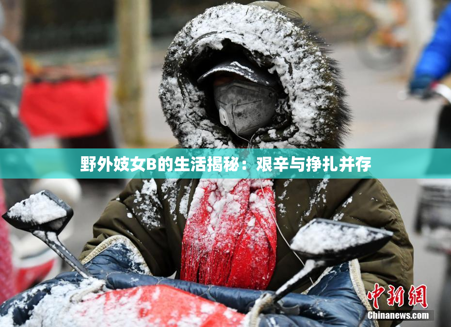 野外妓女B的生活揭秘：艰辛与挣扎并存