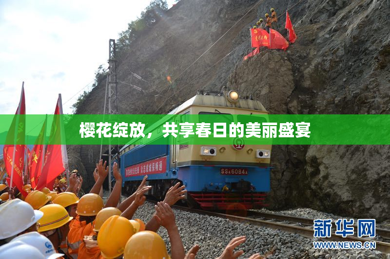 樱花绽放，共享春日的美丽盛宴