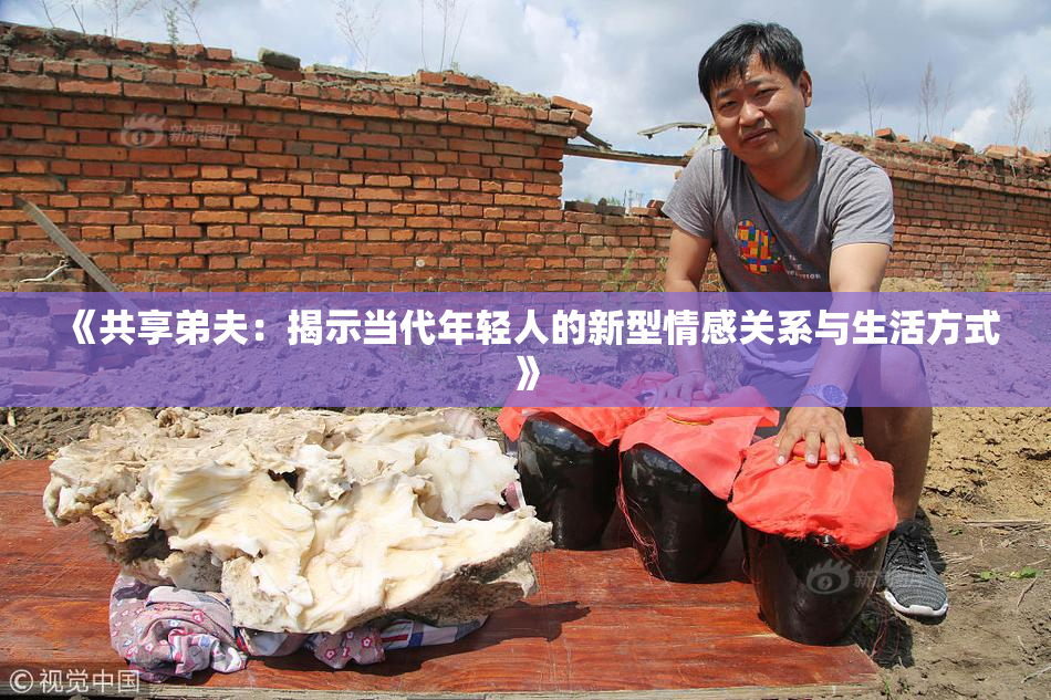 《共享弟夫：揭示当代年轻人的新型情感关系与生活方式》