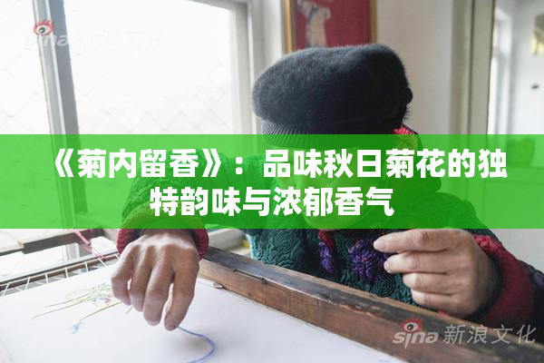 《菊内留香》：品味秋日菊花的独特韵味与浓郁香气