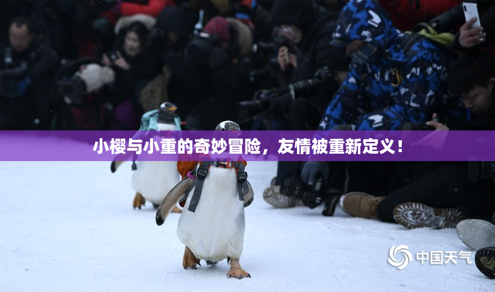 小樱与小重的奇妙冒险，友情被重新定义！