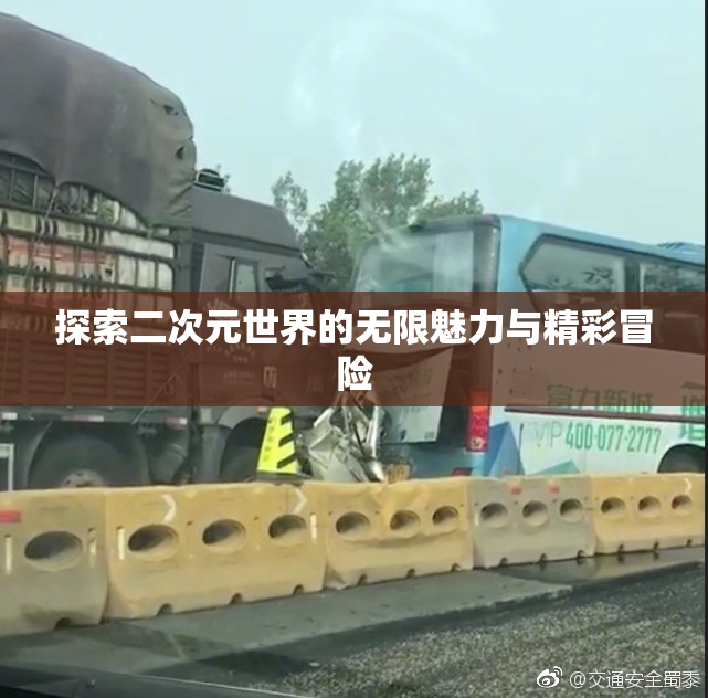 探索二次元世界的无限魅力与精彩冒险