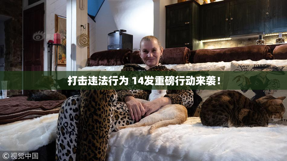 打击违法行为 14发重磅行动来袭！