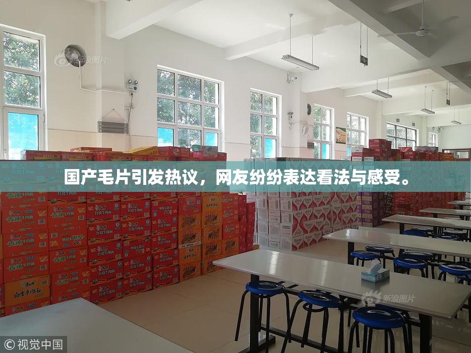 国产毛片引发热议，网友纷纷表达看法与感受。