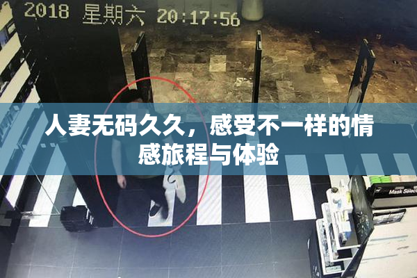 人妻无码久久，感受不一样的情感旅程与体验
