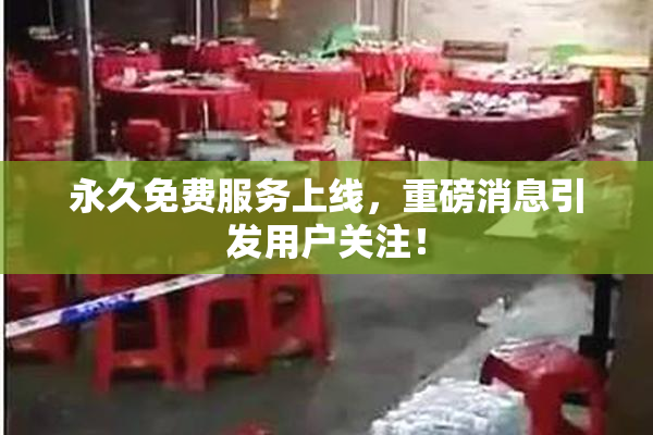永久免费服务上线，重磅消息引发用户关注！