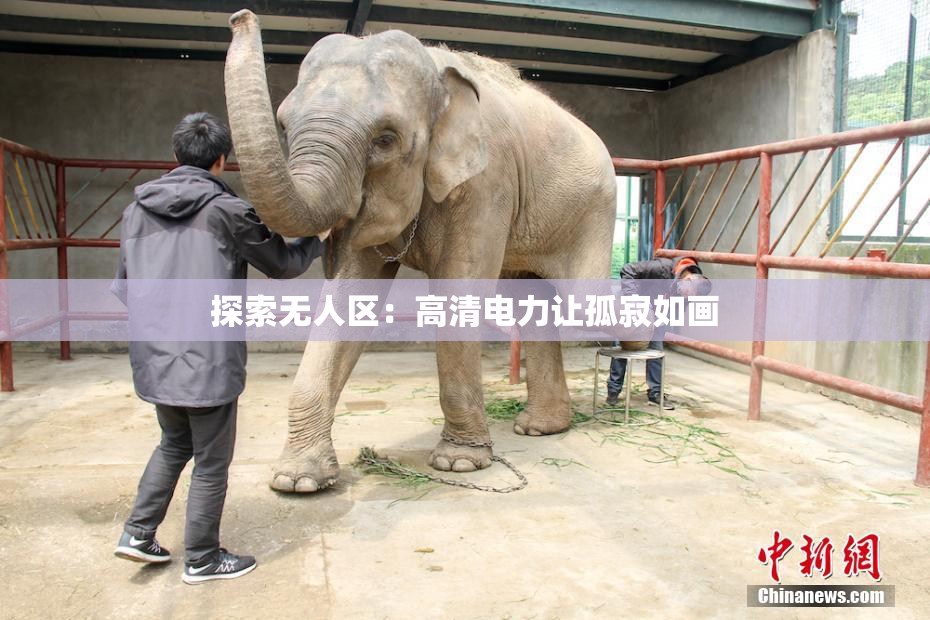 探索无人区：高清电力让孤寂如画
