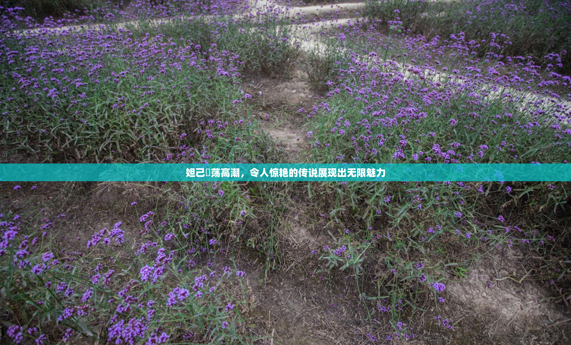 妲己婬荡高潮，令人惊艳的传说展现出无限魅力