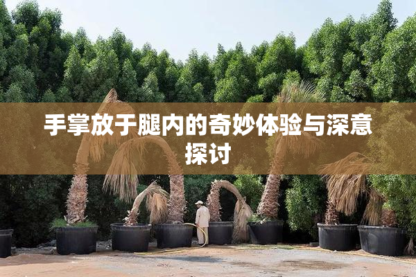 手掌放于腿内的奇妙体验与深意探讨