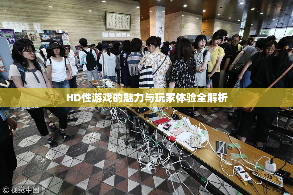 HD性游戏的魅力与玩家体验全解析