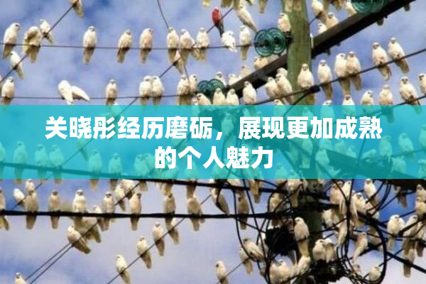 关晓彤经历磨砺，展现更加成熟的个人魅力