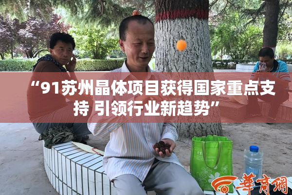 “91苏州晶体项目获得国家重点支持 引领行业新趋势”