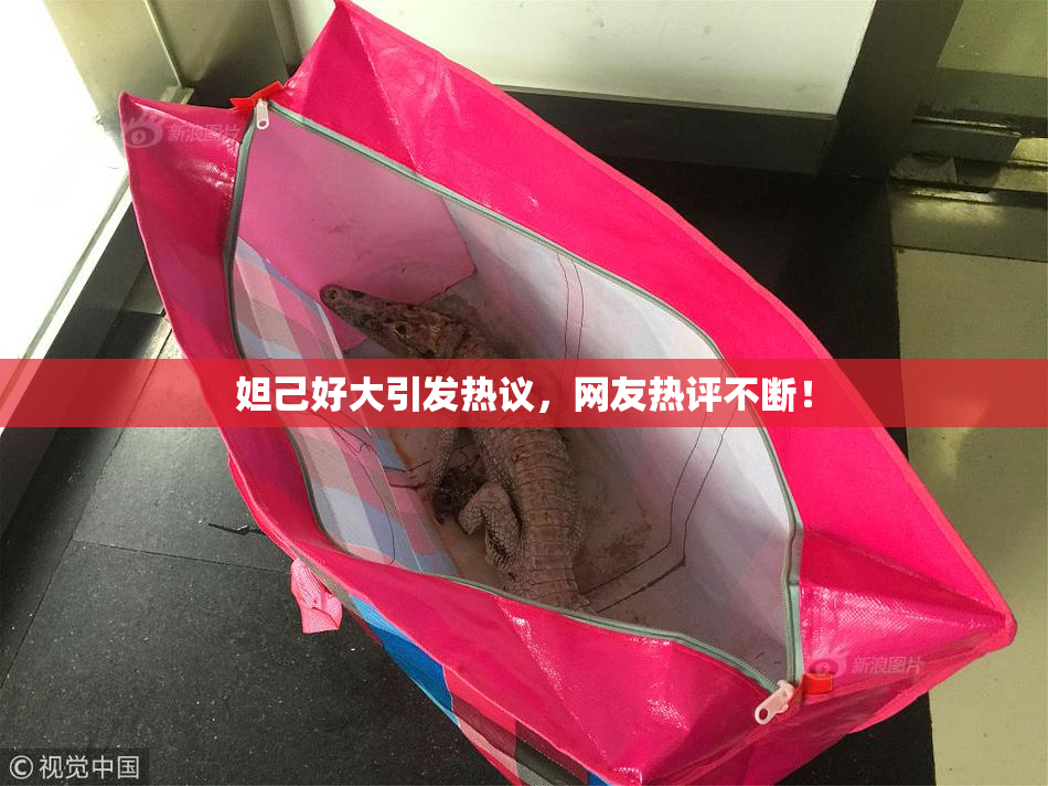 妲己好大引发热议，网友热评不断！
