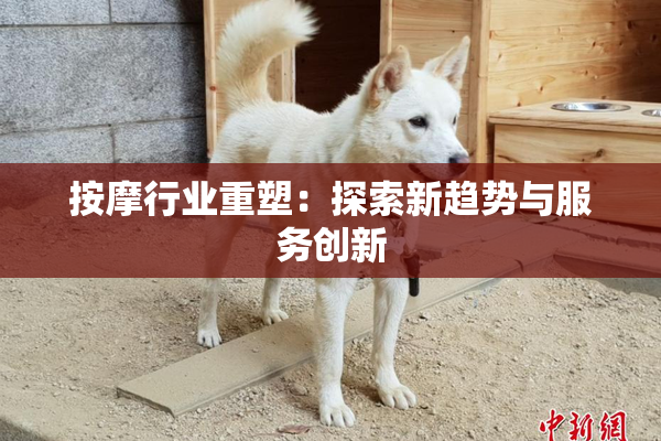 按摩行业重塑：探索新趋势与服务创新
