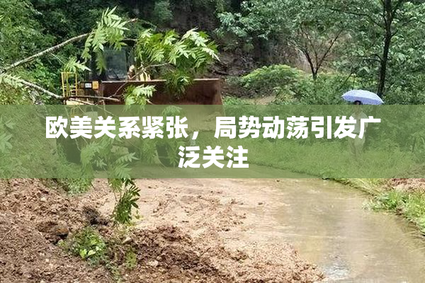 欧美关系紧张，局势动荡引发广泛关注