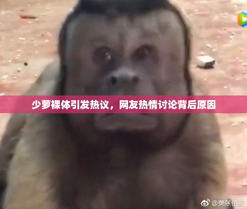 少萝裸体引发热议，网友热情讨论背后原因