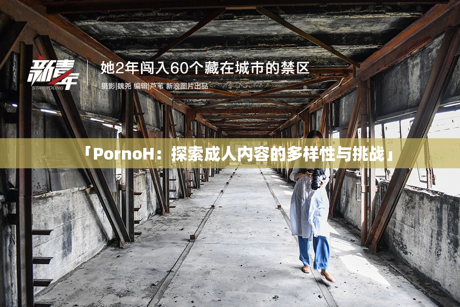 「PornoH：探索成人内容的多样性与挑战」