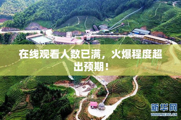 在线观看人数已满，火爆程度超出预期！