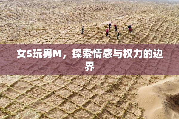 女S玩男M，探索情感与权力的边界