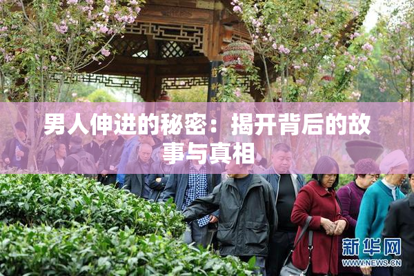 男人伸进的秘密：揭开背后的故事与真相