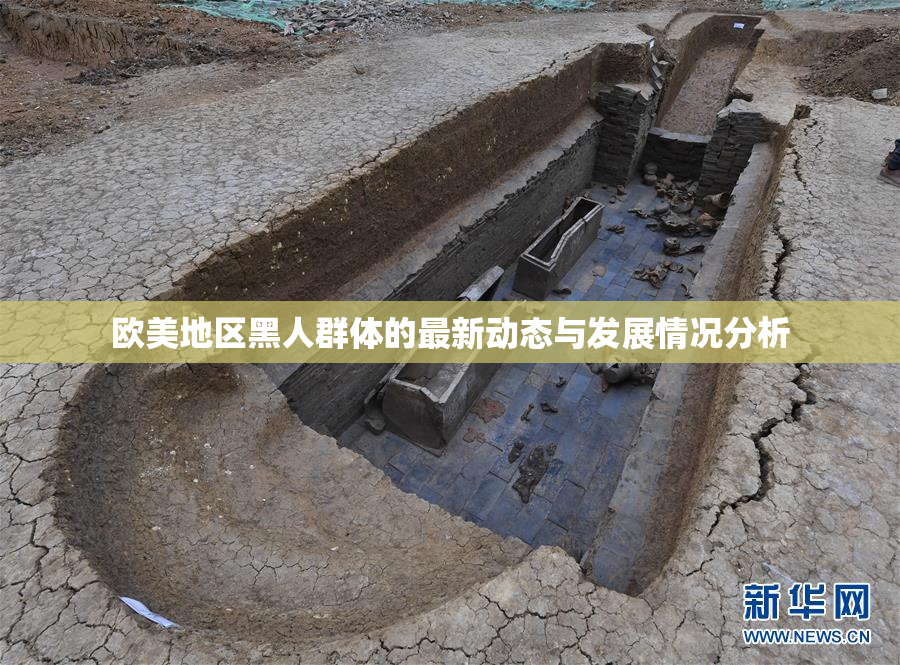 欧美地区黑人群体的最新动态与发展情况分析