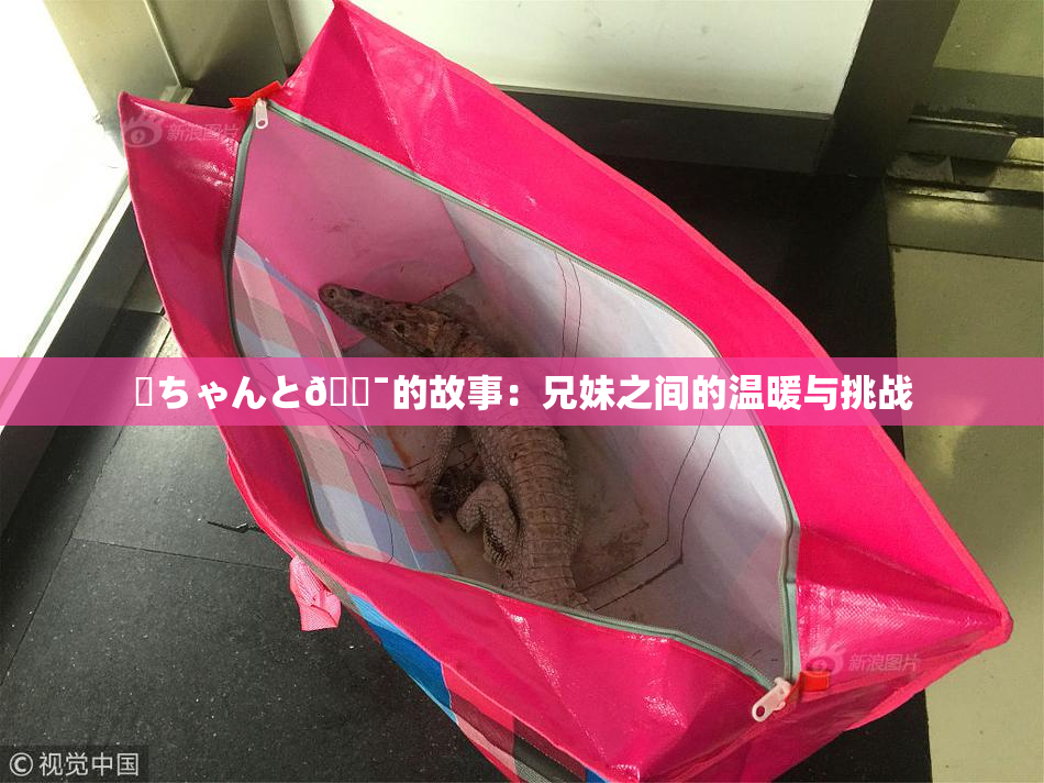 姉ちゃんと🔯的故事：兄妹之间的温暖与挑战